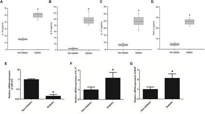 LncRNA-MIAT-Mediated miR-214-3p Silencing Is Responsible for IL-17 Production and Cardiac Fibrosis in Diabetic Cardiomyopathy